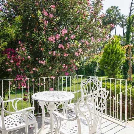 Joya Del Mar マルマリス