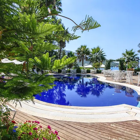 Joya Del Mar マルマリス