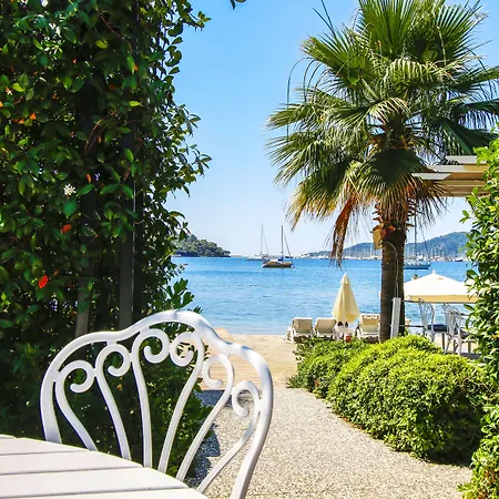 ホテル Joya Del Mar 4*